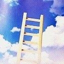 ladder